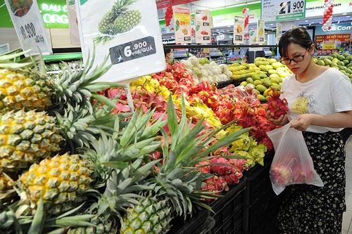 Xuất khẩu rau, quả: Tín hiệu tích cực từ thị trường nhập khẩu
