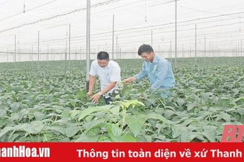 Thanh Hóa - một cực tăng trưởng mới