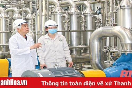 'Đánh thức' vùng đồi Lam Sơn