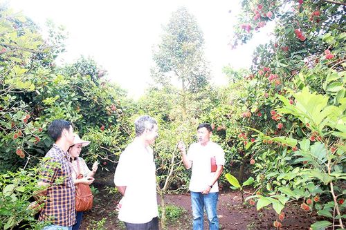Giữ vững sản xuất trong khó khăn