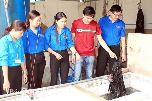 Quy chế cán bộ Đoàn TNCSHCM: Tạo động lực cho cán bộ Đoàn phấn đấu