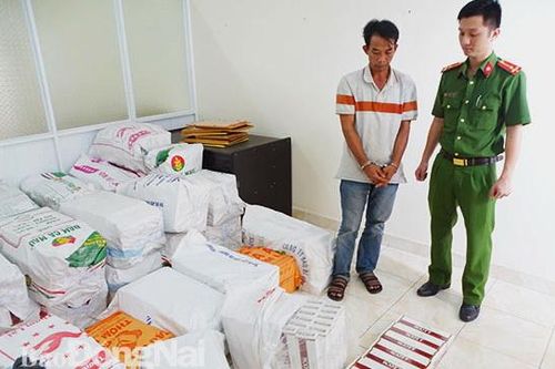Chủ động đấu tranh với tội phạm kinh tế