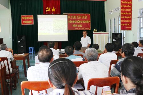 An Khê: Tập huấn kỹ thuật trồng sim cho 30 nông dân