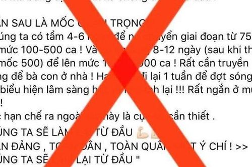 Cảnh báo tin giả bịa lời Phó Thủ tướng Vũ Đức Đam về COVID-19 trên Facebook