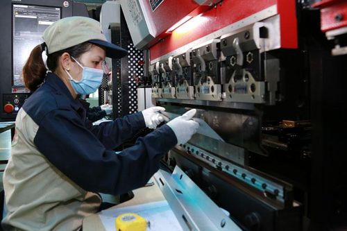 Chuyển đổi số trong xuất nhập khẩu hàng hóa: Doanh nghiệp đừng ngại thay đổi