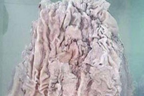 Chàng trai nhặt phế liệu một bước thành tỷ phú
