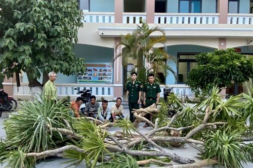 Xử phạt hành chính 5 người khai thác rừng đặc dụng trái phép