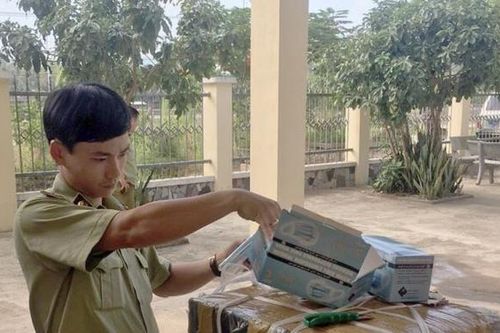 Bình Định: Tạm giữ 70.500 chiếc khẩu trang y tế nhập lậu