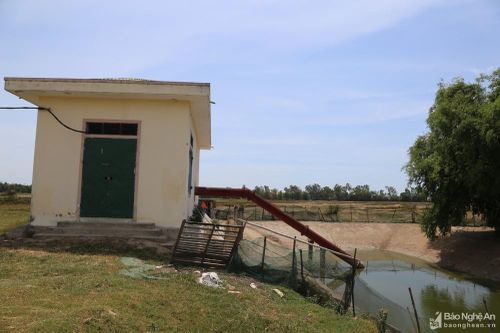 Trạm bơm tiền tỷ ở Nghệ An 7 năm dang dở, nhiều diện tích đất nông nghiệp bỏ hoang