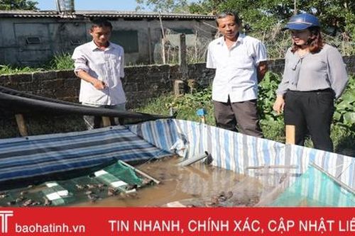 Nuôi ếch khép kín, lãi từ giống đến thịt thương phẩm