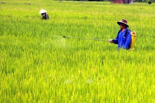 Không có việc 100.000 tấn thuốc BVTV sử dụng tràn lan trên đồng ruộng