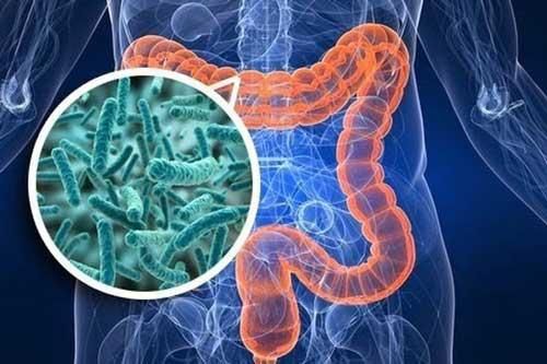 Những loại nước giúp thải độc ruột già, thanh lọc gan - thận