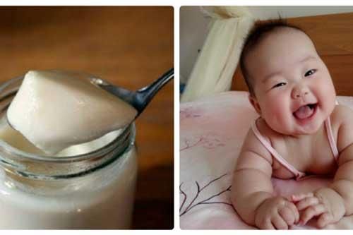 Cho con ăn 1 hũ sữa chua vào thời điểm 'vàng' này, trẻ sẽ được kích thích trí não, thông minh vượt trội