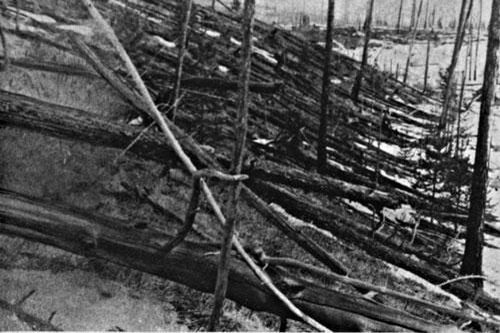 Bí ẩn thế kỷ về vụ nổ 'siêu khủng' xóa sổ 80 triệu cây cối ở Siberia, Nga