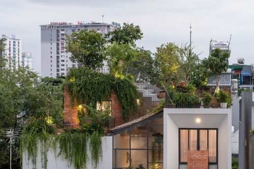 Công viên trên sân thượng của ngôi nhà tại TP.HCM