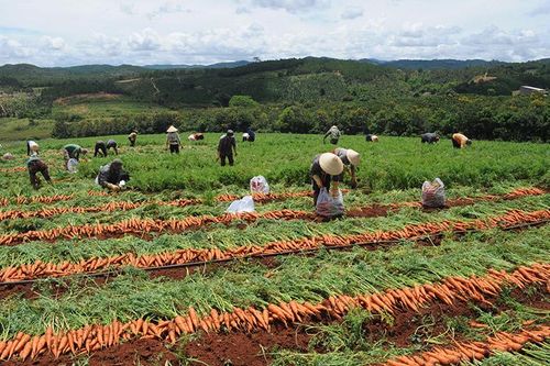Ý Đảng, lòng dân trong xây dựng nông thôn mới