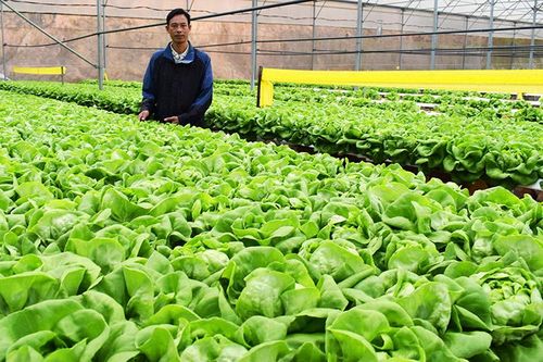 Để mở rộng thị trường nông sản