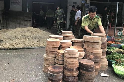 Định Hóa: Thu giữ lâm sản trái phép