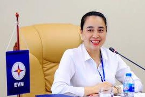 Ảnh hưởng của sự hiện diện nữ giới trong hội đồng quản trị đến hiệu quả hoạt động của các doanh nghiệp