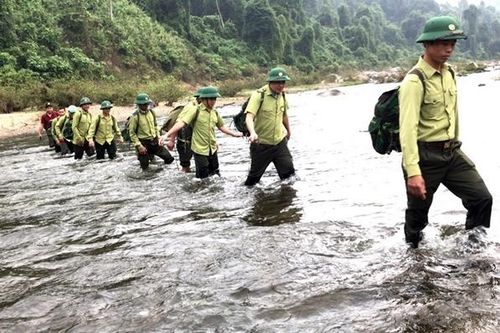 Hạt trưởng Kiểm lâm bị dọa giết qua sim 'rác'