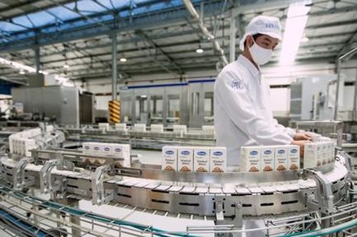Doanh thu tăng trưởng, hoạt động ổn định và xuất khẩu tích cực