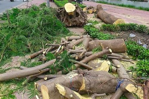 Kỳ 2: Nguy cơ tai nạn chực chờ
