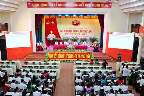 Đại hội đại biểu đảng bộ 3 quận, huyện, thị xã tiến hành phiên trù bị