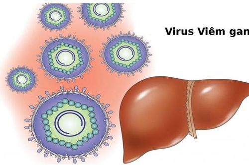 Việt Nam đang nằm trong vùng có tỷ lệ lây nhiềm virus viêm gan cao nhất