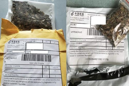 Mỹ cảnh báo trước hàng loạt gói hạt giống bí ẩn gửi từ Trung Quốc