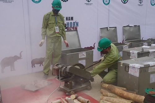 Quyết liệt đấu tranh chống buôn bán động vật hoang dã