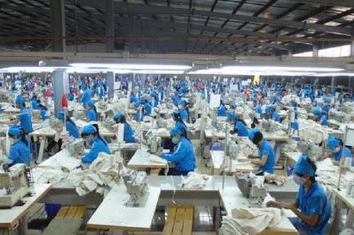 Hiệp định EVFTA chính thức có hiệu lực: Liệu có là cơ hội để 'đổi đời'?