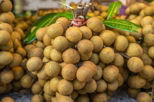 5 lợi ích cho sức khỏe từ quả nhãn