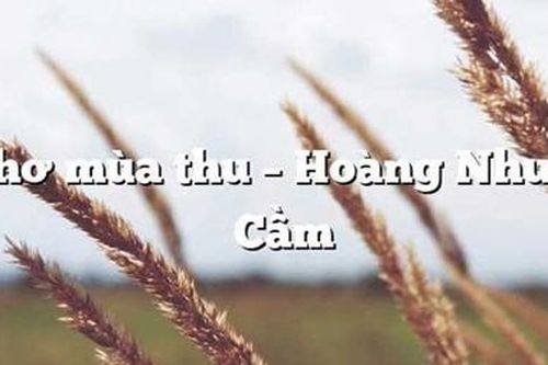 Mùa thu tôi yêu