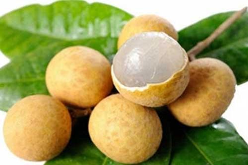 Nhãn là loại quả ngon nhưng khi ăn cần biết đại kỵ này, tránh rước bệnh vào thân