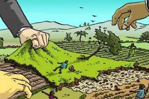 Đất không sử dụng sẽ bị thu hồi?