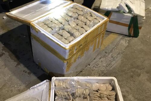 Nghệ An: Tiêu hủy 400kg chả cốm bốc mùi hôi thối, không rõ nguồn gốc