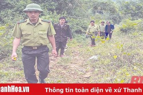 Phối hợp ngăn chặn buôn lậu lâm sản và bảo vệ rừng trên địa bàn các huyện miền núi