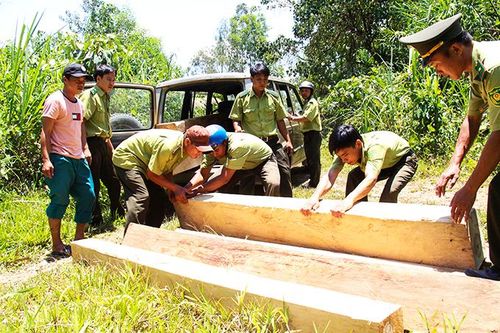 Phối hợp bảo vệ rừng tại các xã cánh tây