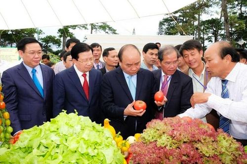 Khi con tim hòa chung nhịp điệu phát triển