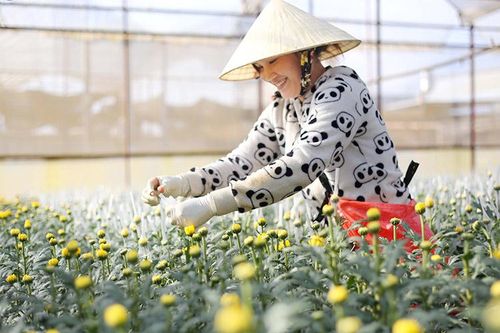 Chuỗi liên kết còn nhiều dư địa