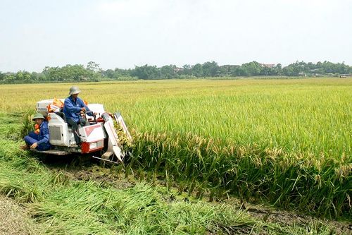 Hạ Hòa: Nhiều chính sách giúp người dân giảm nghèo