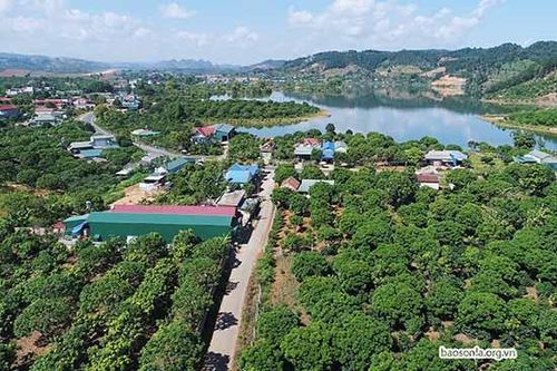 Phát huy truyền thống cách mạng, vững bước đưa Mai Sơn phát triển xanh, nhanh và bền vững