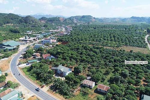 Hiệu quả từ chủ trương trồng cây ăn quả trên đất dốc