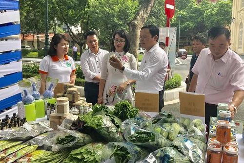 Nông sản chật vật vào siêu thị