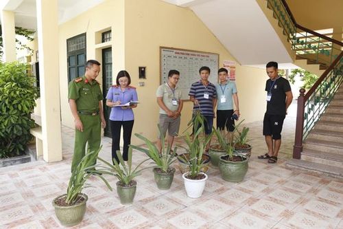 Bắt hai đối tượng chuyên trộm phong lan