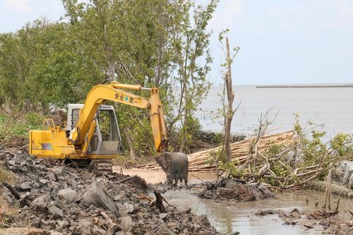 Cà Mau đẩy nhanh tiến độ các công trình khắc phục sạt lở, sụp lún biển Tây