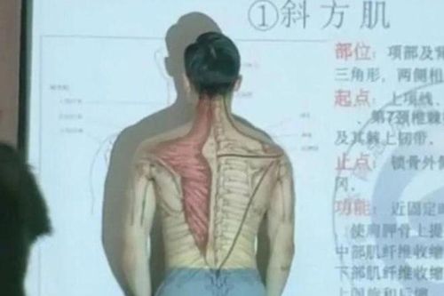 Thầy giáo cởi áo lấy thân mình minh họa bài giảng gây sốt