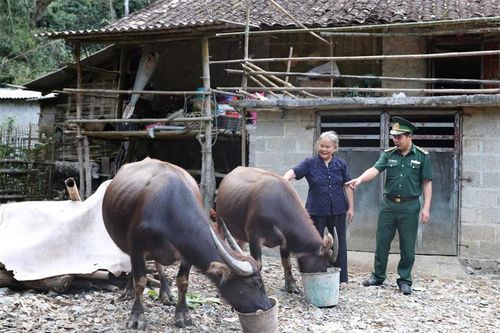 Công tác vận động quần chúng góp phần khẳng định 'thương hiệu' của BĐBP