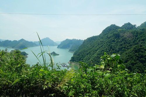 Giàu có nhưng tôi khốn khổ vì con cái tranh nhau tài sản