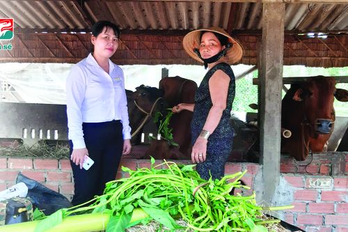 Kienlongbank giảm 50% lãi suất cho vay tại Đà Nẵng, Quảng Nam, Đăk Lăk